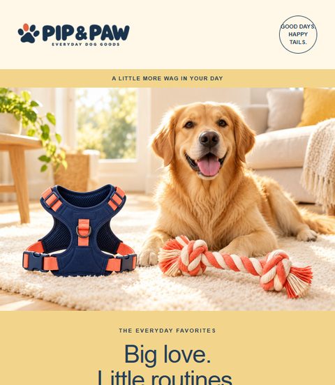 Pip and Paw email campaign